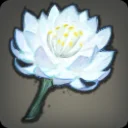 Lucent Flower