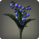 Blue Lilies of the Valley