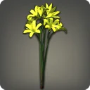 Yellow Triteleia