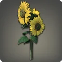 Yellow Sunflowers