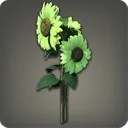 Green Sunflowers