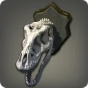 古代獣の頭骨