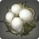 Island Cotton Boll