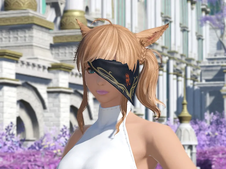 Anamnesis Headband of Scouting