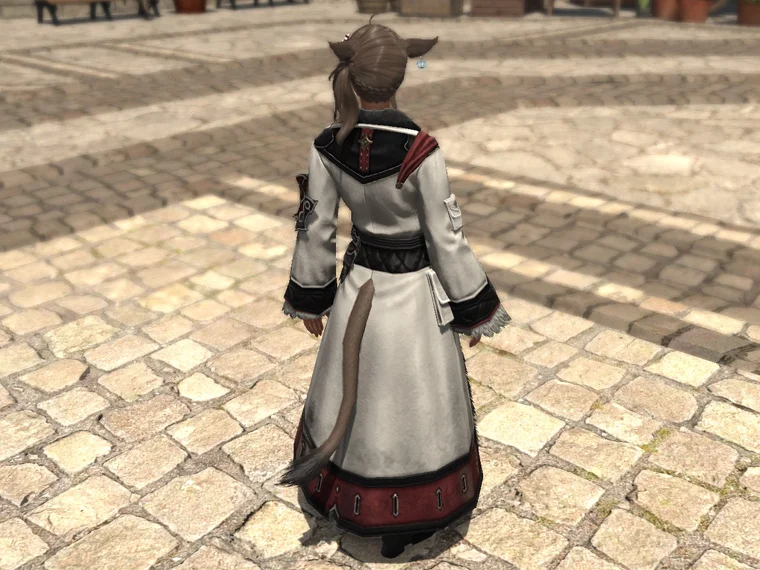 Imperial Coat of Aiming - Image