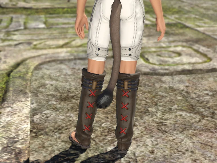 Zormor Gaiters of Fending - Image