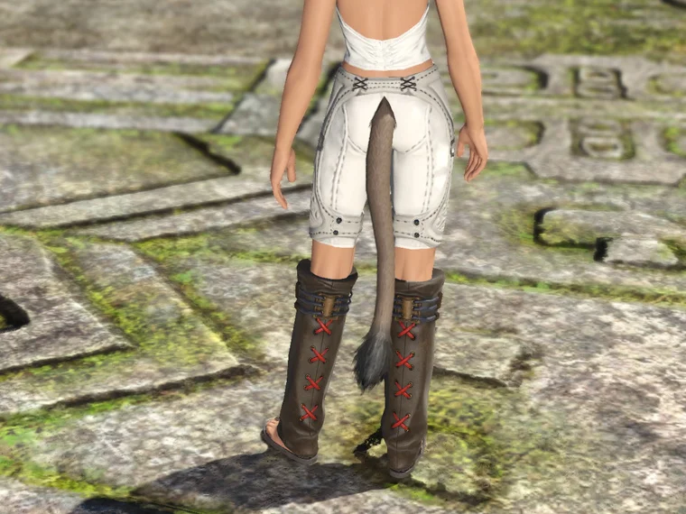 Zormor Gaiters of Casting - Image